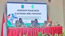 Dinkes PBD Percepat Transformasi Digital, Rekam Medis Elektronik Puskesmas Diterapkan di Kabupaten/Kota