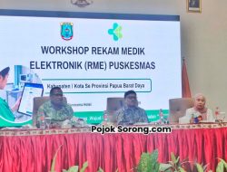 Dinkes PBD Percepat Transformasi Digital, Rekam Medis Elektronik Puskesmas Diterapkan di Kabupaten/Kota
